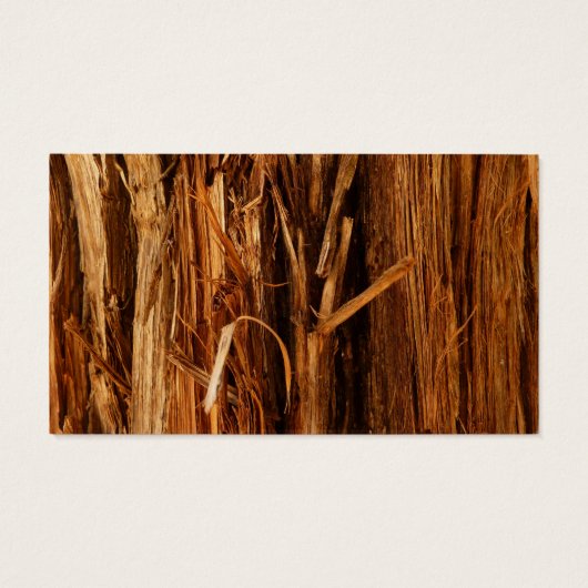 スギの質感のある木の樹皮の外観 (裏面)