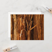 スギの質感のある木の樹皮の外観 カード (正面/裏面インサイチュ)