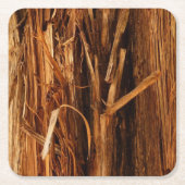 スギの質感のある木の樹皮の外観 スクエアペーパーコースター (正面)