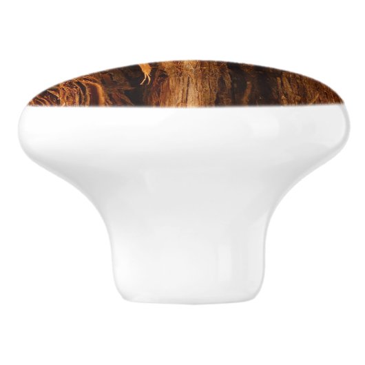 スギの質感のある木の樹皮の外観 セラミックノブ (側面)