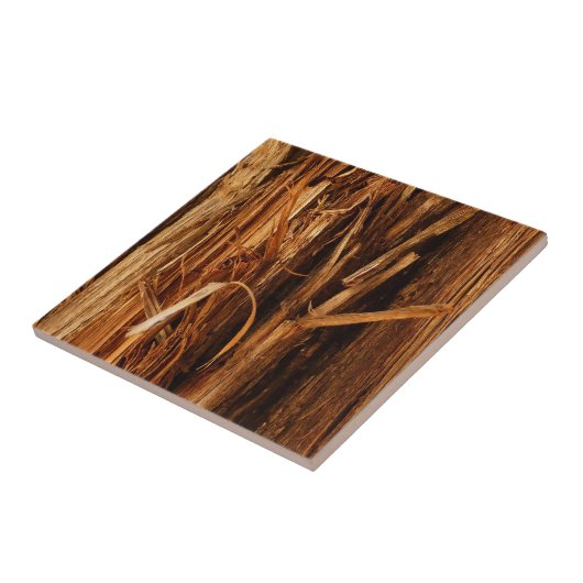 スギの質感のある木の樹皮の外観 タイル (側面)