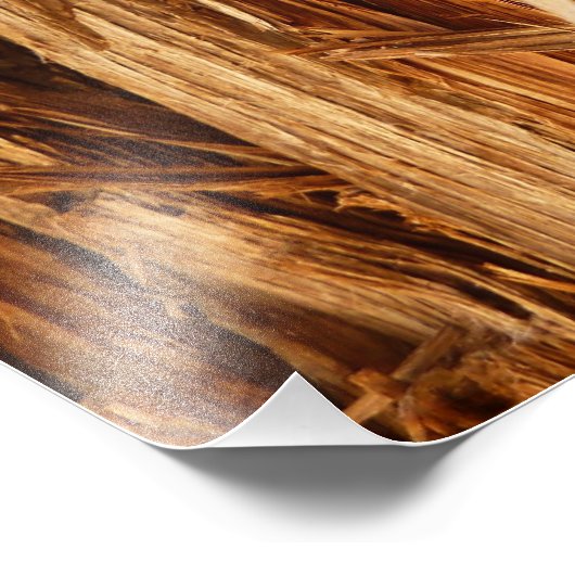 スギの質感のある木の樹皮の外観 フォトプリント (角)