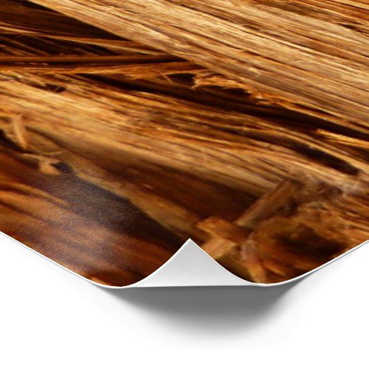 スギの質感のある木の樹皮の外観 ポスター (コーナー)