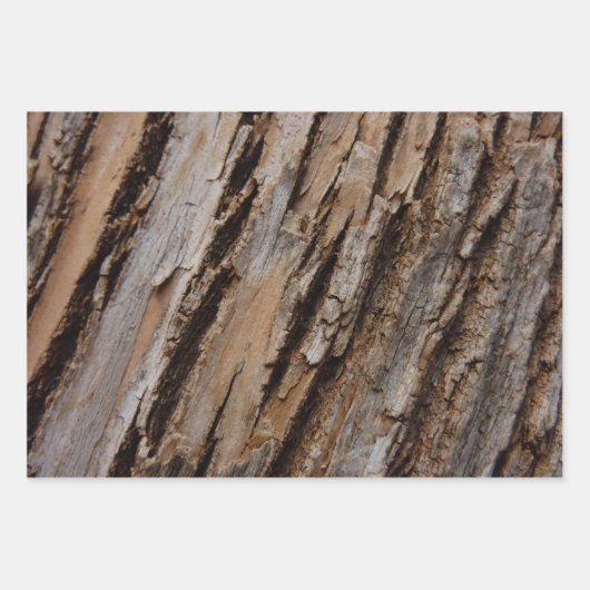 スギの質感のある木の樹皮の外観 ラッピングペーパーシート (正面3)