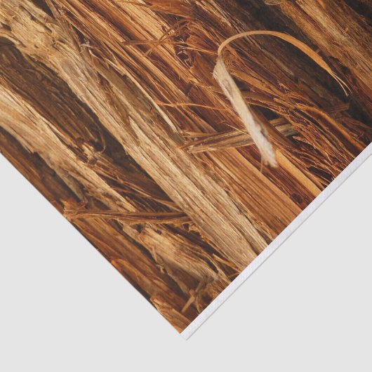 スギの質感のある木の樹皮の外観 薄葉紙 (詳細)