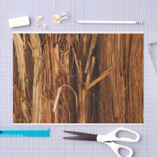 スギの質感のある木の樹皮の外観 薄葉紙 (クラフト)