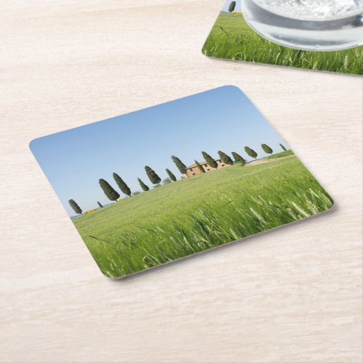スギコースターが付いているタスカニーの農家 スクエアペーパーコースター (アングル)