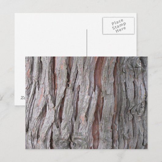 スギ樹皮質感 ポストカード (正面/裏面)