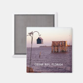 スギ鍵バードフィーダー，スギ鍵，フロリダ マグネット (正面/裏面)