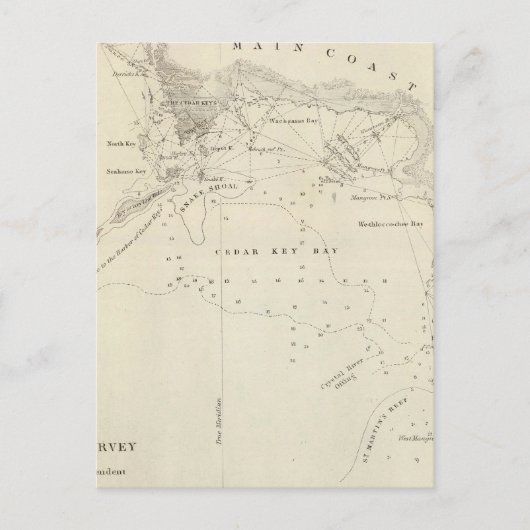 スギ鍵、フララ ポストカード (正面)