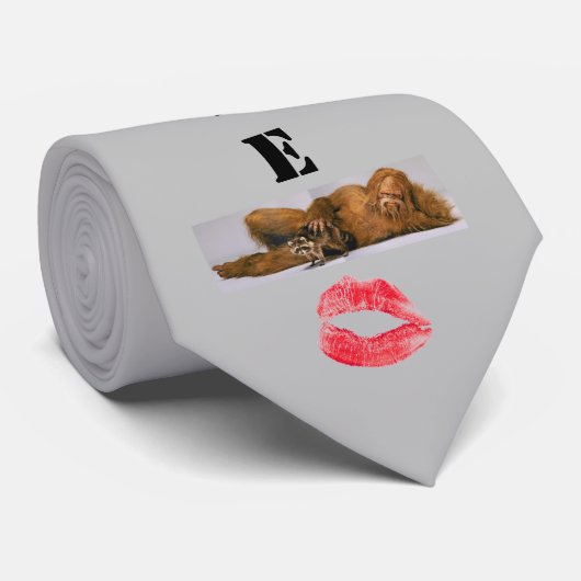 スクアッチタイ ネクタイ (ロール)