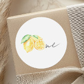スクイズレモンシトラスサマーベビーファースト誕生日 ラウンドシール