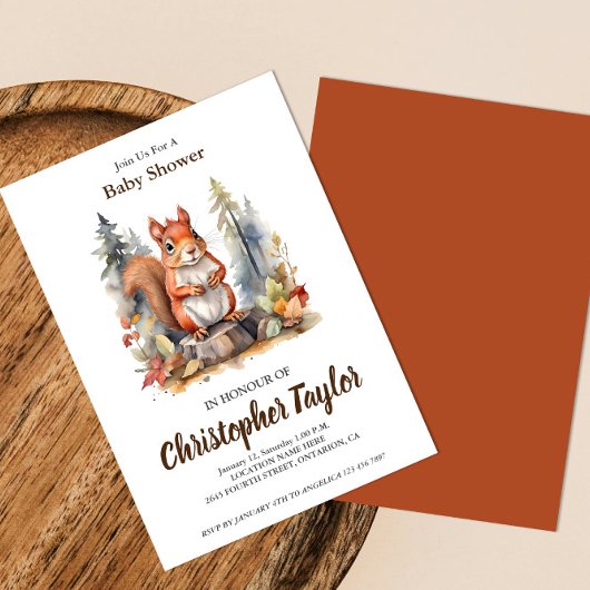 スクイレルベビーシャワー招待状 招待状