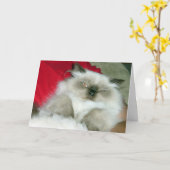 スクインティヒミー誕生日カード カード (黄色い花)