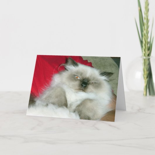 スクインティヒミー誕生日カード カード (正面)