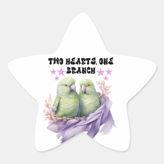 スクエアスターのパロットシール 星シール (正面)