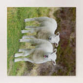 スクエアツインパズル ジグソーパズル (横)