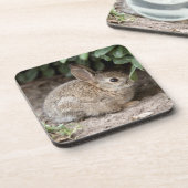 スクエアバニー コースター (左側)