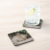 スクエアバニー コースター (右側)