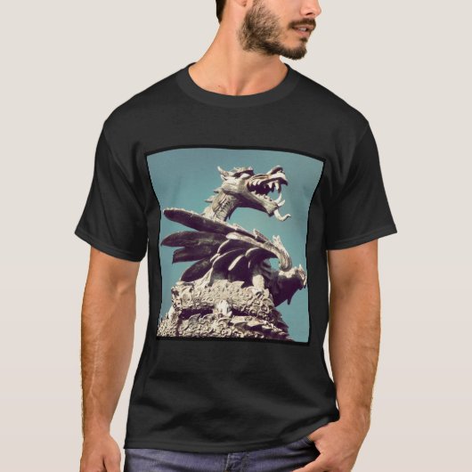 スクエアフォト – Dragon Tシャツ (正面)