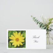 スクエアフォト – Helianthus 'Lemon Queen'ひまわり サンキューカード (スタンド正面)