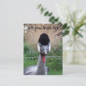 スクォーク!!ポストカード ポストカード (スタンド正面)