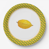 スクコットのエトロ ペーパープレート (正面)