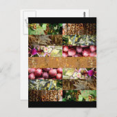 スクコット休日 ポストカード (正面/裏面)