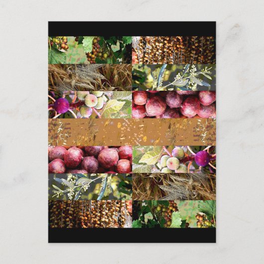 スクコット休日 ポストカード (正面)