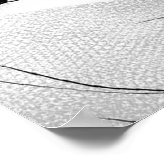 スクナ柔術回戦 ポスター (角)