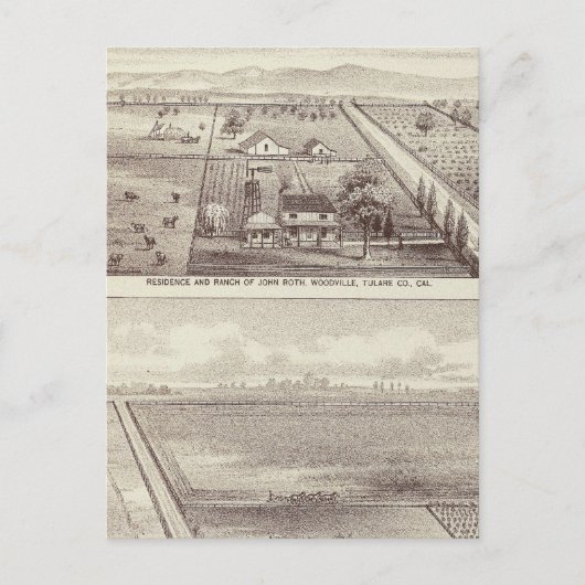 スクラッグスランチ・ロス ポストカード (正面)