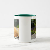 スクラッパーポット ツートーンマグカップ (中央)