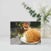 スクラッパーポット ポストカード (スタンド正面)