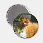 スクラッパーポット マグネット (正面/裏面)