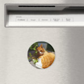 スクラッパーポット マグネット (インサイチュ (食洗機))