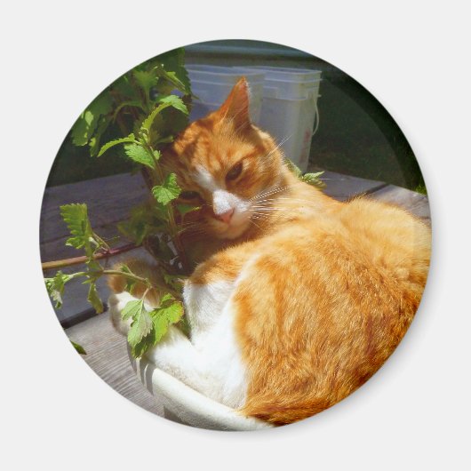 スクラッパーポット マグネット (正面)