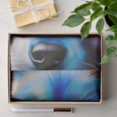 スクラッフィーブルテリア犬クローズアップ 薄葉紙 (ギフト)