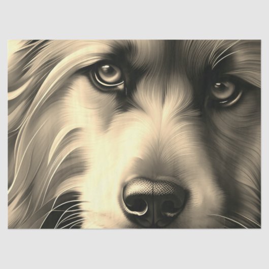 スクラッフィー犬セピア 薄葉紙 (正面)