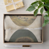 スクラップエフェメラデザインシリーズ#19 薄葉紙 (ギフト)