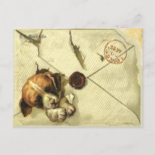 スクラップブックパピー付きヴィンテージポストカード ポストカード (正面)