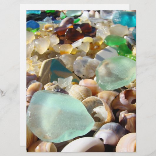 スクラップブック作りテーマ紙ビーチ貝殻 (正面/裏面)