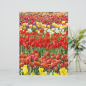 スクラップブック作りレターヘッド紙カラフルチューリップフローラ (スタンド正面)