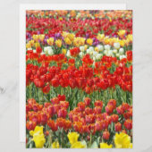 スクラップブック作りレターヘッド紙カラフルチューリップフローラ (正面/裏面)