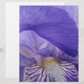 スクラップブック用紙 紫色のアイリス 花 アイリス 花柄 (正面/裏面)