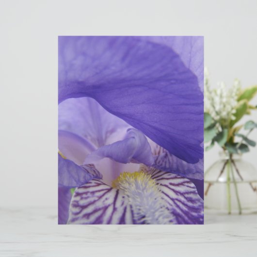 スクラップブック紙パープルアイリスフラワーズアイリスフローラ (スタンド正面)