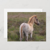 スクラブに立っている新しい森のポニーの森 ポストカード (正面/裏面)