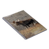 スクラブブラシのM8ブルムース ノートブック (右側)