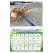 スクラブル… 2013年 カレンダー (3月 2027)