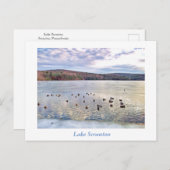 スクラントンPAレイクスクラントンポストカードダックス ポストカード (正面/裏面)