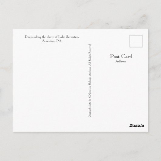 スクラントンPAレイクスクラントンポストカードダックス ポストカード (裏面)